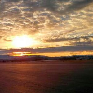 Meet your Posher, Patsy